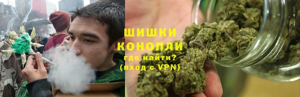 PSILOCYBIN Гусев