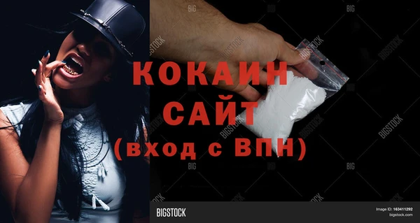 молекула духа Горняк