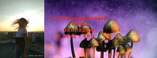 PSILOCYBIN Гусев