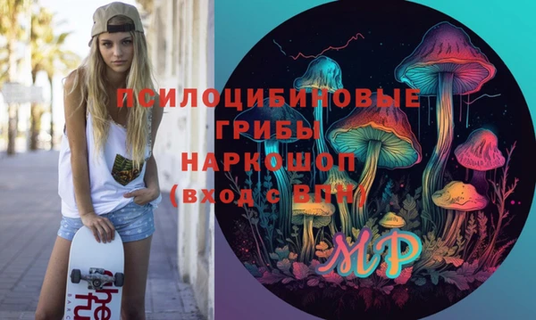 трава Гусиноозёрск