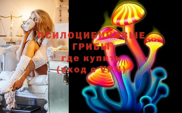 трава Гусиноозёрск