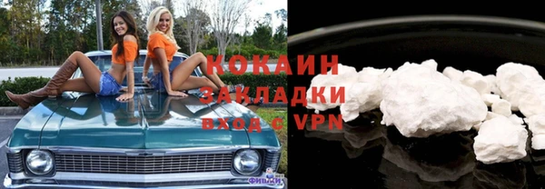 трава Гусиноозёрск