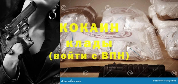 трава Гусиноозёрск