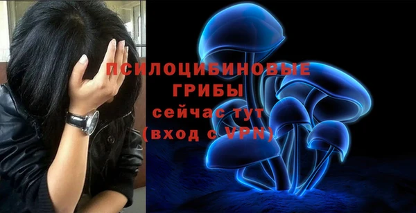 мдма Гусь-Хрустальный
