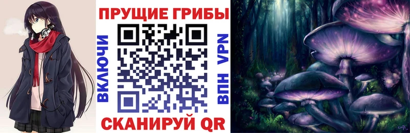 Псилоцибиновые грибы GOLDEN TEACHER  где найти   Майкоп 